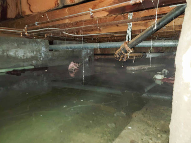 Best Ceiling water damage repair  in Seat Pleasant, MD