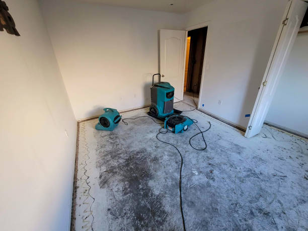 Best Fire Damage Restoration  in Seat Pleasant, MD