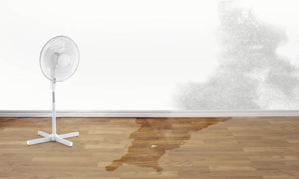 Best Water damage restoration near me  in Seat Pleasant, MD