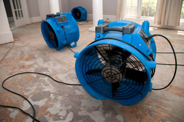 Best Flood damage cleanup  in Seat Pleasant, MD