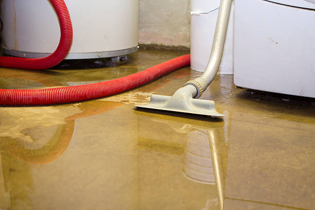 Best Carpet water damage restoration  in Seat Pleasant, MD