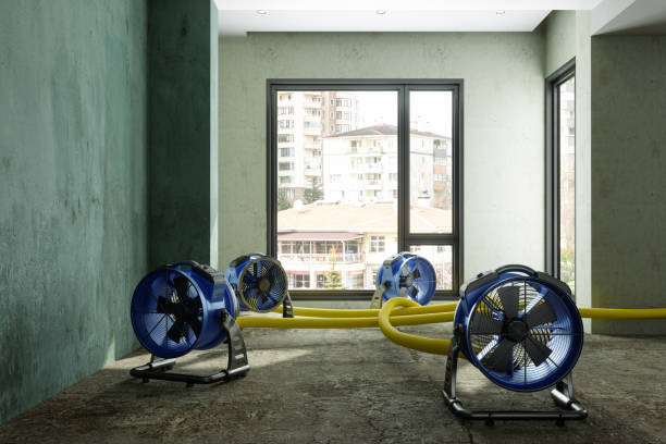 Best Professional water damage repair  in Seat Pleasant, MD