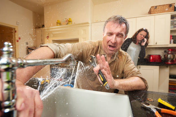 Best Ceiling water damage repair  in Seat Pleasant, MD